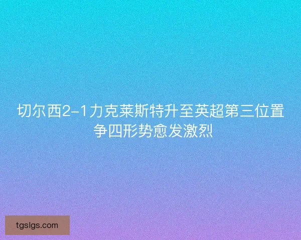 切尔西2-1力克莱斯特升至英超第三位置 争四形势愈发激烈