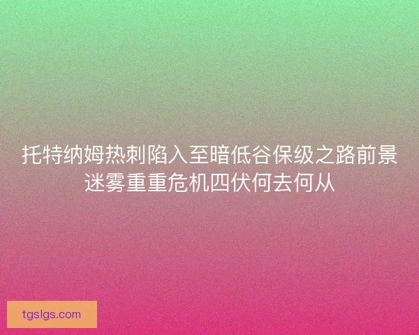 托特纳姆热刺陷入至暗低谷保级之路前景迷雾重重危机四伏何去何从