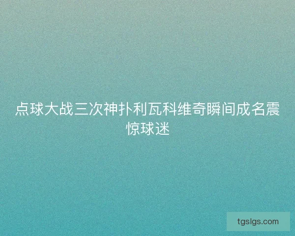 点球大战三次神扑利瓦科维奇瞬间成名震惊球迷