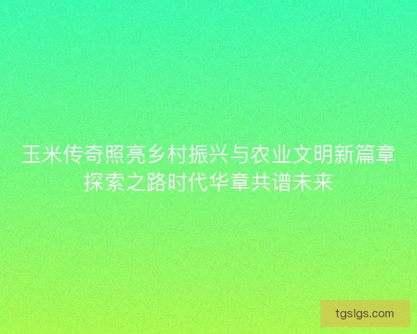 玉米传奇照亮乡村振兴与农业文明新篇章探索之路时代华章共谱未来