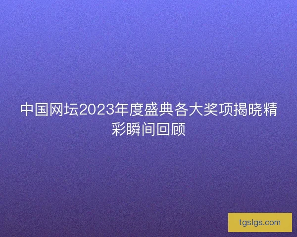 中国网坛2023年度盛典各大奖项揭晓精彩瞬间回顾